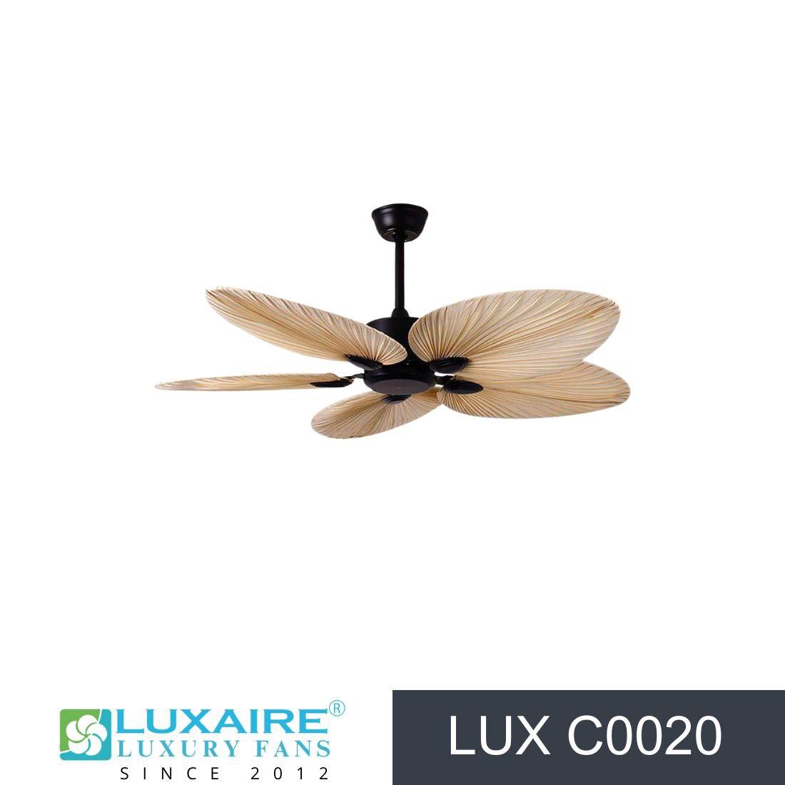 Designer & Luxury Fans – Premium Style & Performance